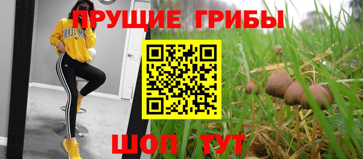 Псилоцибиновые грибы мицелий  Вход с VPN  Новотроицк 